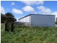 276 Back Road, Lower Wilmot TAS 7310