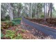 328 Sheffield Road, South Spreyton TAS 7310