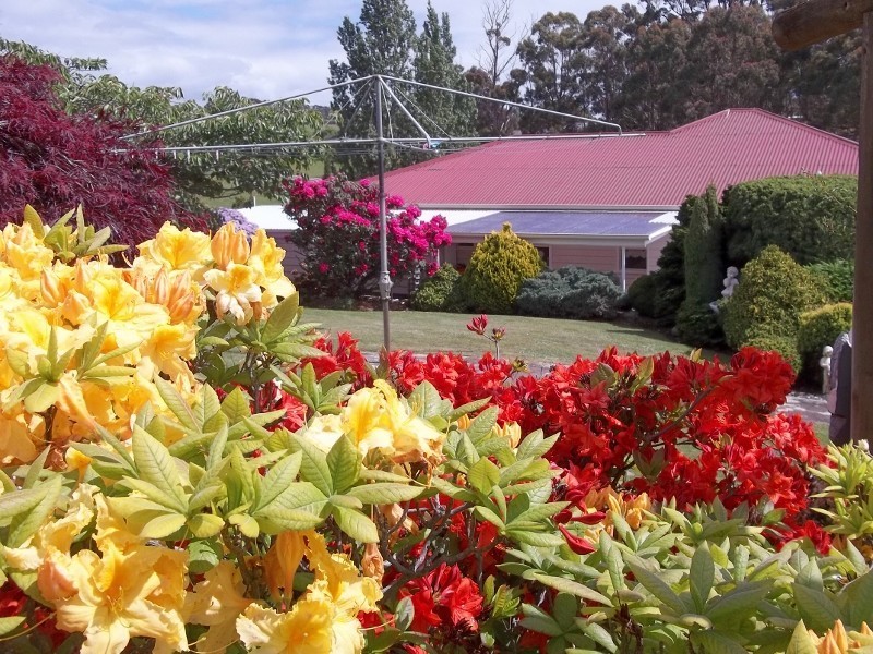 43 Deviation Road, Penguin TAS 7316