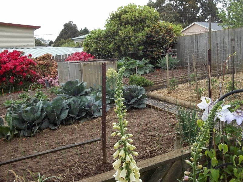 43 Deviation Road, Penguin TAS 7316