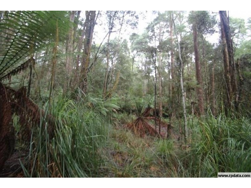 109 Fagans Road, Christmas Hills TAS 7330