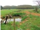 178 Roger River Road, Roger River TAS 7330