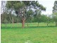 178 Roger River Road, Roger River TAS 7330