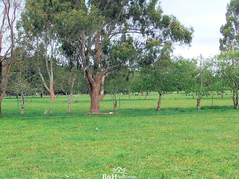 178 Roger River Road, Roger River TAS 7330