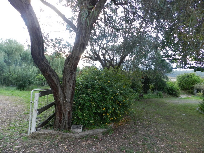 5 Morrison Street, Railton TAS 7305