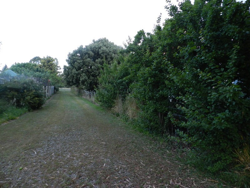 5 Morrison Street, Railton TAS 7305