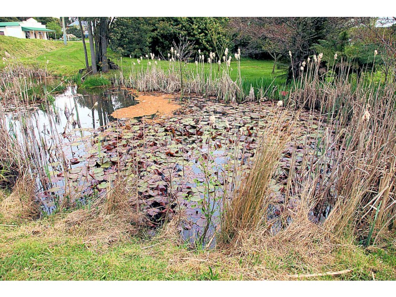 1050 Sheffield Road, Lower Barrington TAS 7306