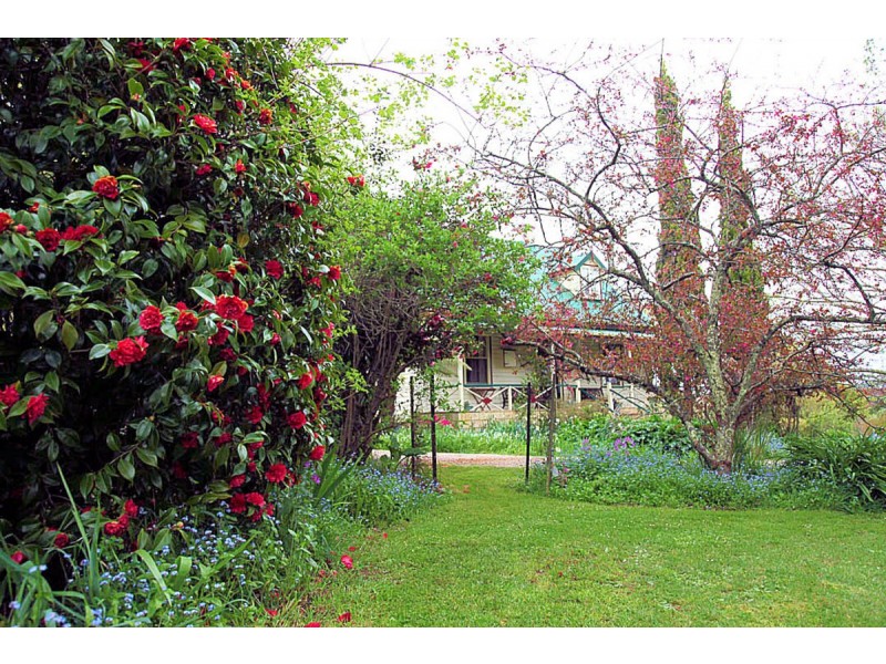 1050 Sheffield Road, Lower Barrington TAS 7306