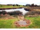1050 Sheffield Road, Lower Barrington TAS 7306