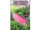 1050 Sheffield Road, Lower Barrington TAS 7306
