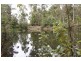 206 Boys Road, South Forest TAS 7330