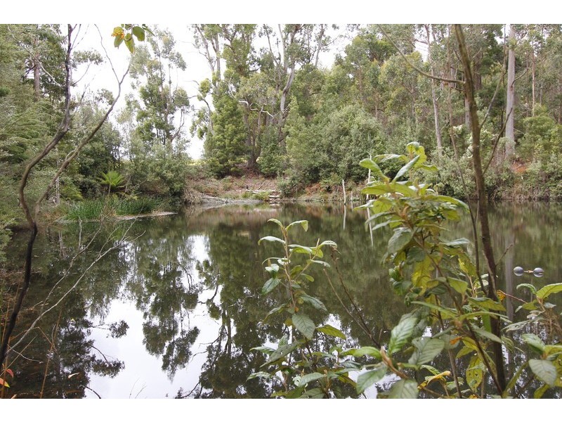 206 Boys Road, South Forest TAS 7330