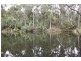 206 Boys Road, South Forest TAS 7330
