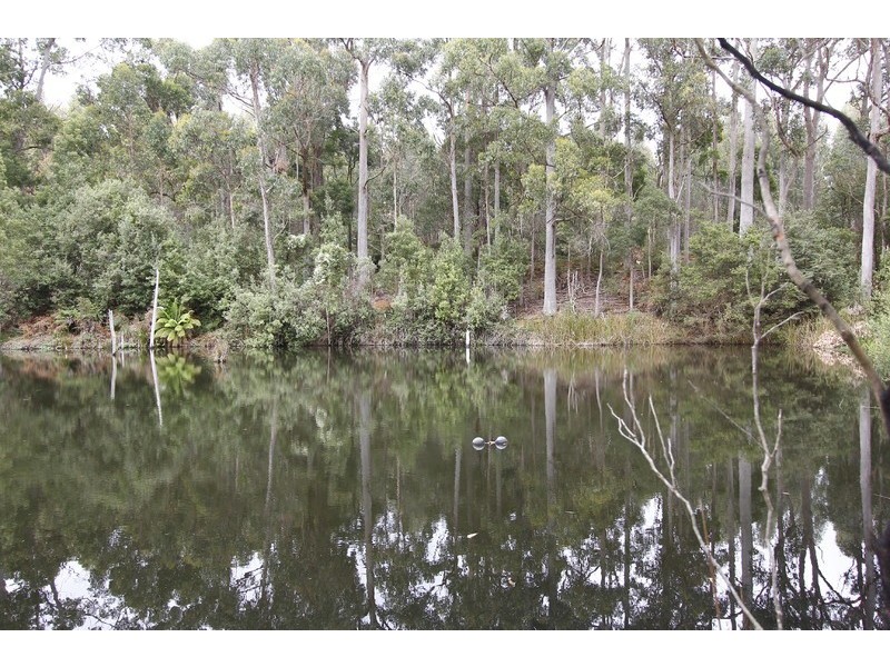 206 Boys Road, South Forest TAS 7330