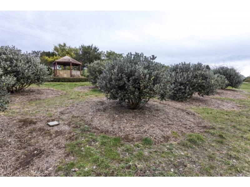 24 Swamp Road, Kindred TAS 7310