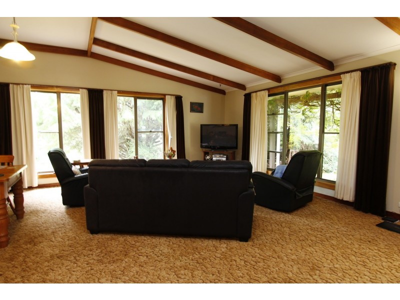 206 Boys Road, South Forest TAS 7330