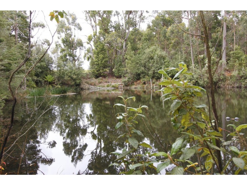 206 Boys Road, South Forest TAS 7330