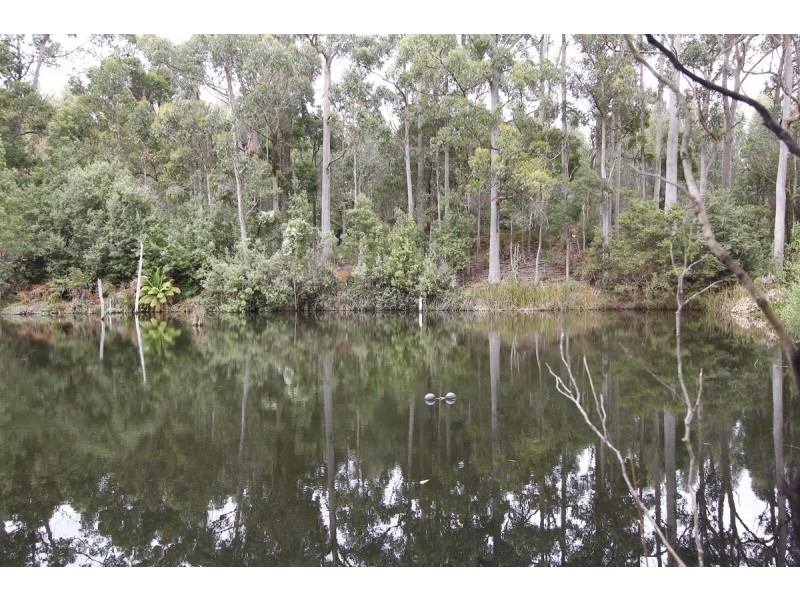 206 Boys Road, South Forest TAS 7330