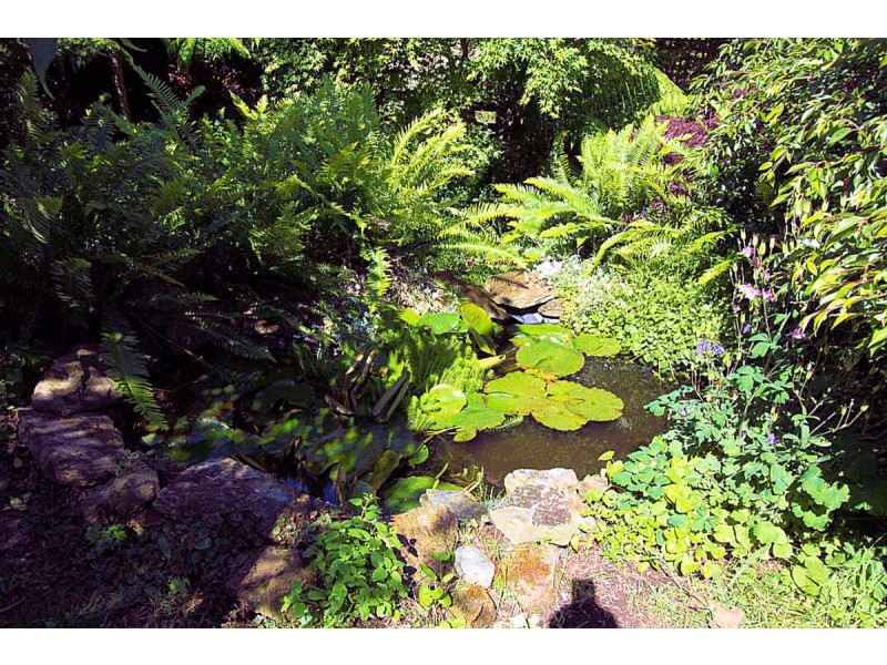 16 Lamont Road, Glengarry TAS 7275