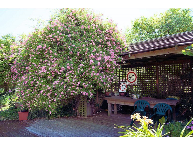 16 Lamont Road, Glengarry TAS 7275