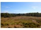 Lot 1,  Zeehan Highway, Zeehan TAS 7469