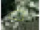 83 Esplanade, Strahan TAS 7468