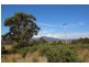 Lot 5 & 6,  Runcorne Street, Zeehan TAS 7469