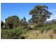 Lot 5 & 6,  Runcorne Street, Zeehan TAS 7469