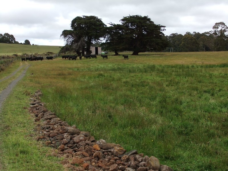 Lot 238, Ridgley Highway, Highclere TAS 7321