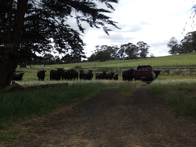 Lot 238, Ridgley Highway, Highclere TAS 7321