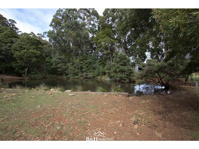 Lot 238, Ridgley Highway, Highclere TAS 7321