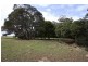 Lot 238, Ridgley Highway, Highclere TAS 7321