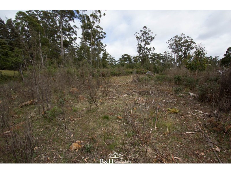 Lot 238, Ridgley Highway, Highclere TAS 7321