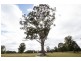 Lot 238, Ridgley Highway, Highclere TAS 7321