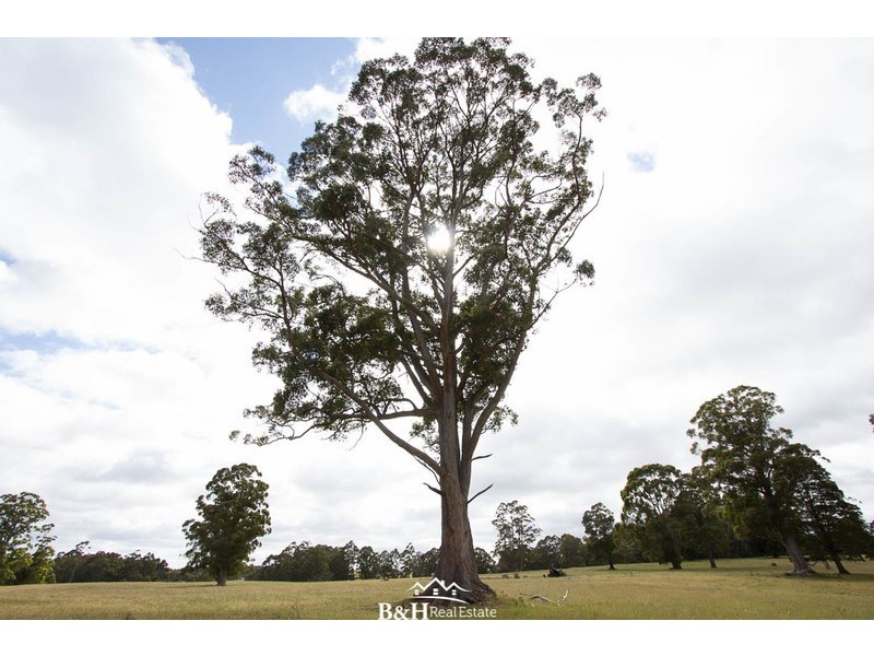 Lot 238, Ridgley Highway, Highclere TAS 7321