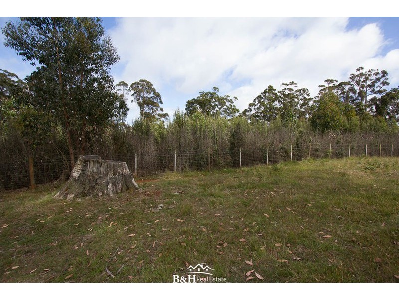 Lot 238, Ridgley Highway, Highclere TAS 7321