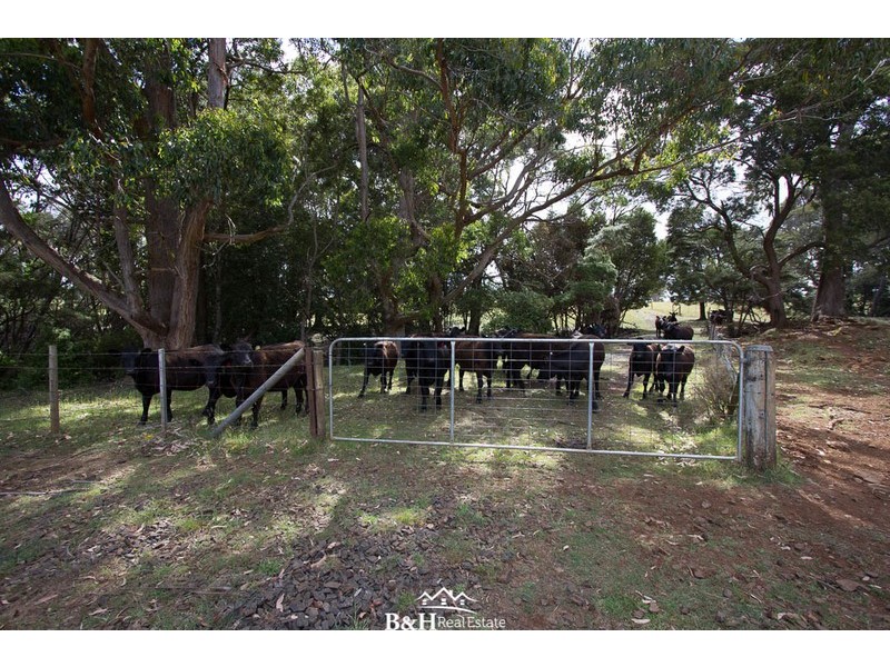 Lot 238, Ridgley Highway, Highclere TAS 7321