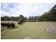Lot 238, Ridgley Highway, Highclere TAS 7321