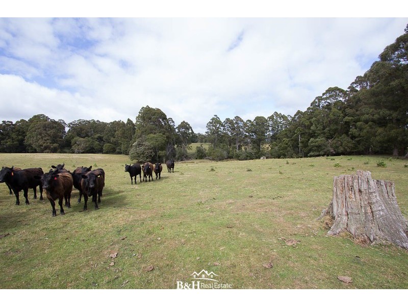 Lot 238, Ridgley Highway, Highclere TAS 7321