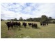 Lot 238, Ridgley Highway, Highclere TAS 7321
