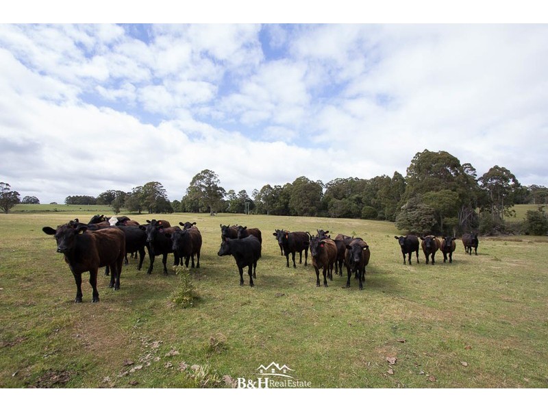 Lot 238, Ridgley Highway, Highclere TAS 7321