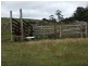 Lot 238, Ridgley Highway, Highclere TAS 7321