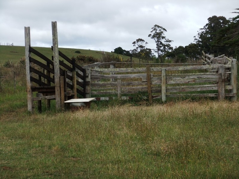 Lot 238, Ridgley Highway, Highclere TAS 7321