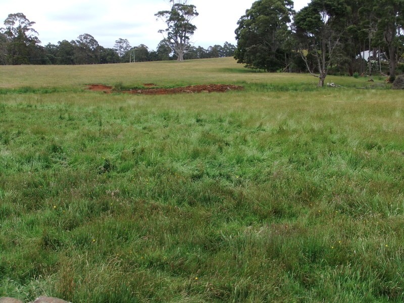 Lot 238, Ridgley Highway, Highclere TAS 7321