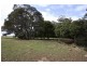 238/ Ridgley Highway, Highclere TAS 7321