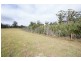 238/ Ridgley Highway, Highclere TAS 7321