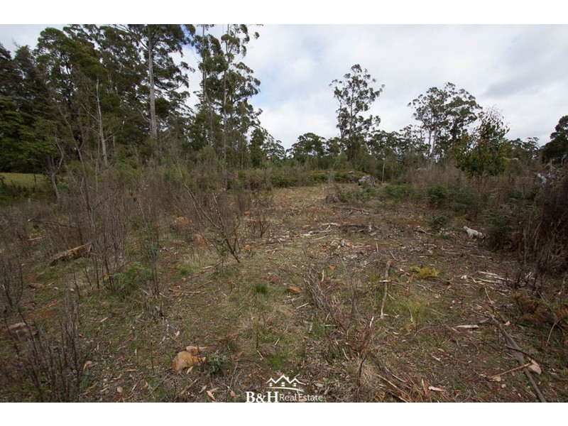 238/ Ridgley Highway, Highclere TAS 7321