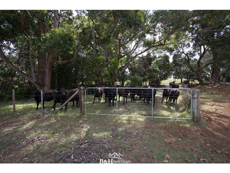 238/ Ridgley Highway, Highclere TAS 7321