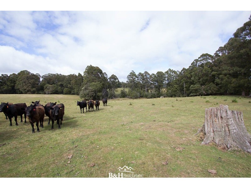 238/ Ridgley Highway, Highclere TAS 7321