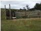 238/ Ridgley Highway, Highclere TAS 7321